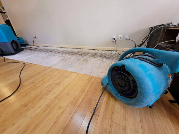 Professional Water Extraction technician working in Lexington, NE